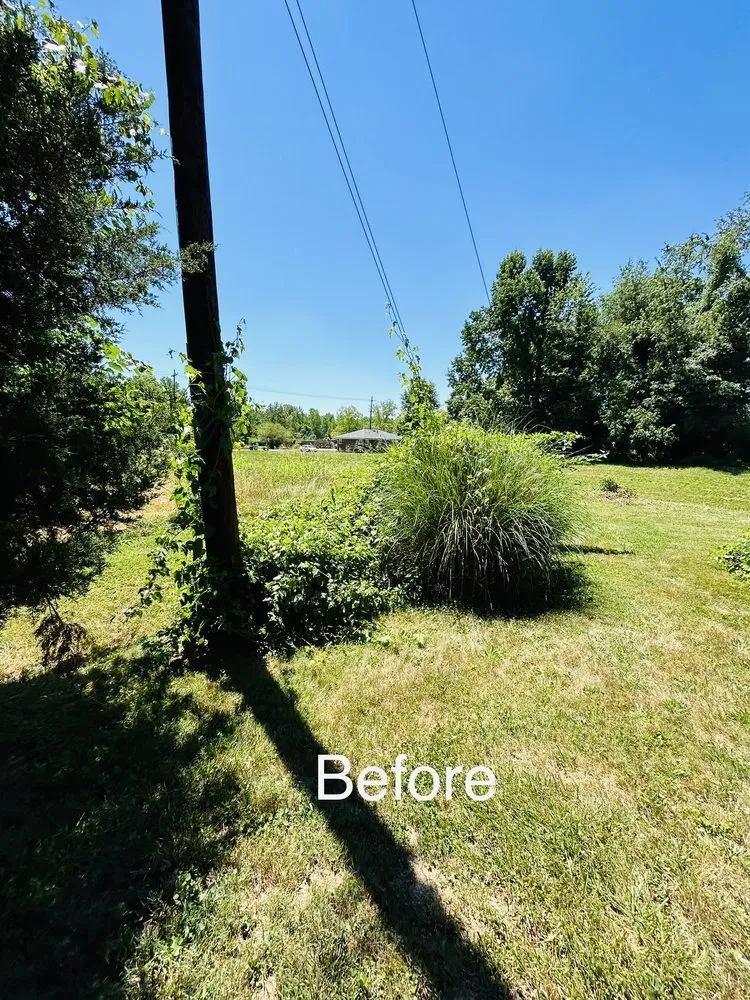 Slide of Gilly Grass Home Exterior Services