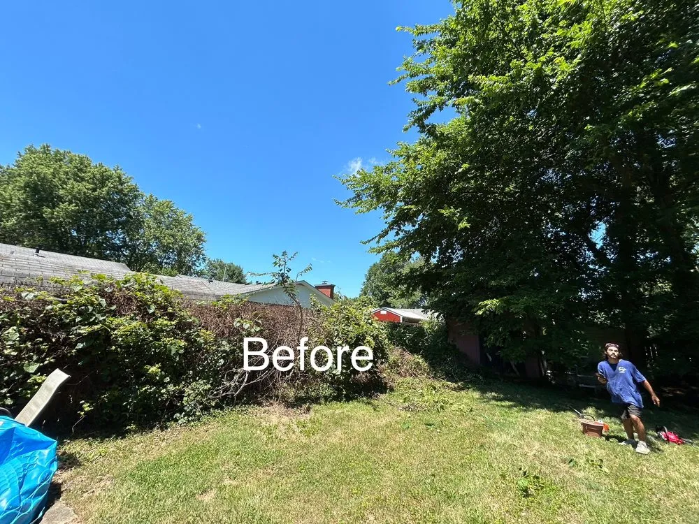 Slide of Gilly Grass Home Exterior Services