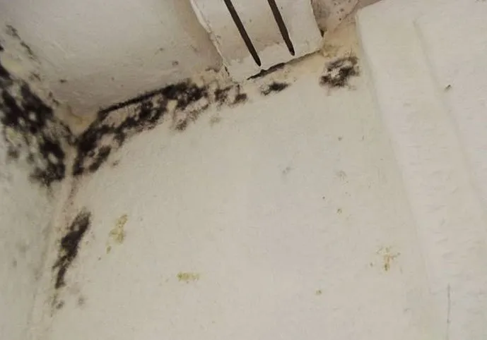 Slide of GilRay Restoration Services