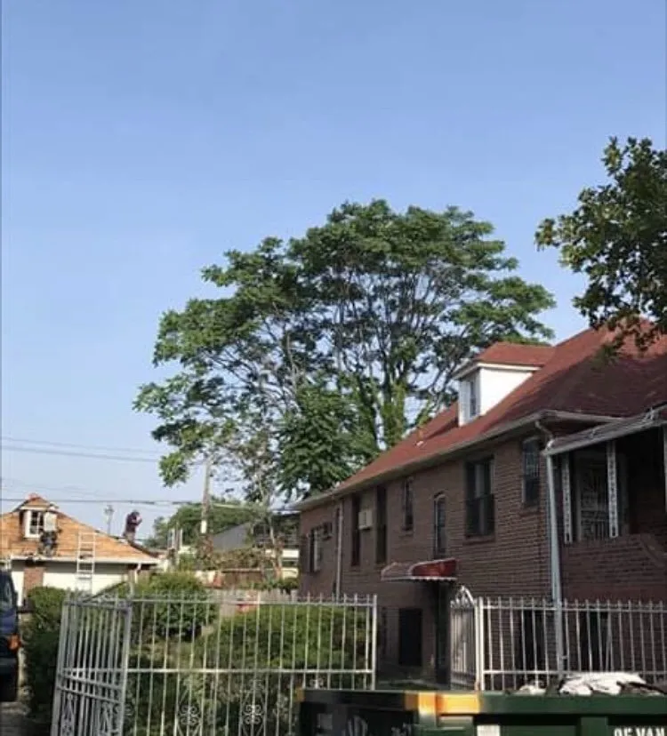 Slide of Gino's Home Improvement