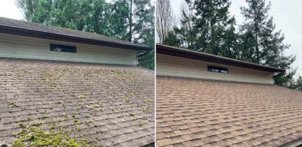 Slide of Girtz Roof And Gutter Cleaning