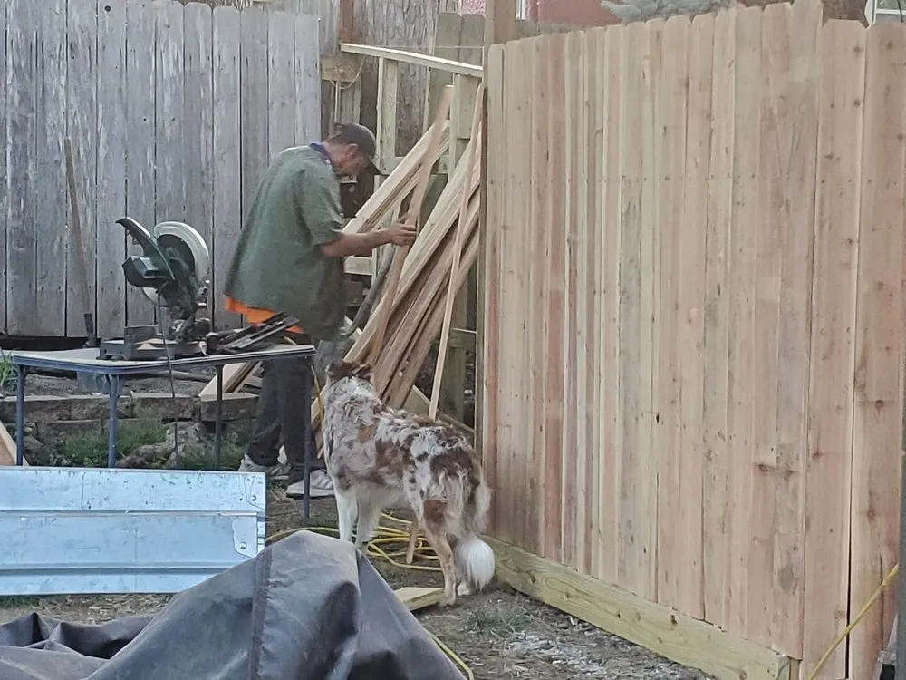 Slide of Gittit Built