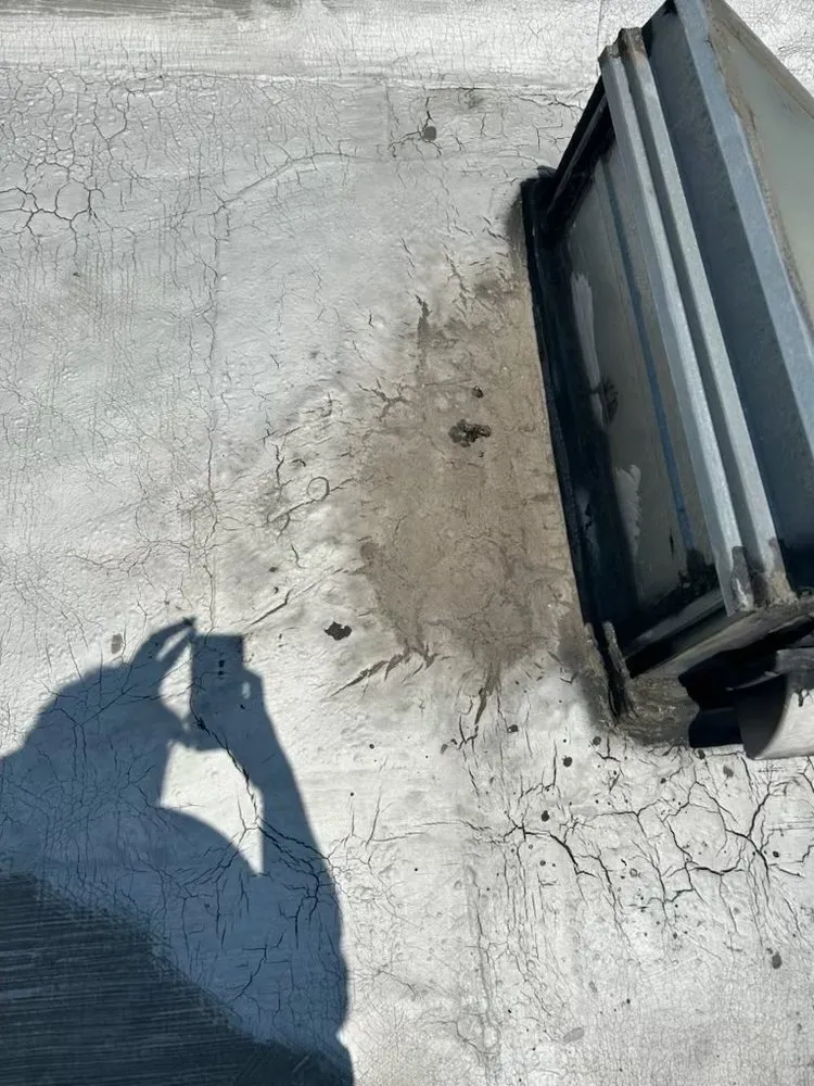 Slide of Gizmo‘s Roofing