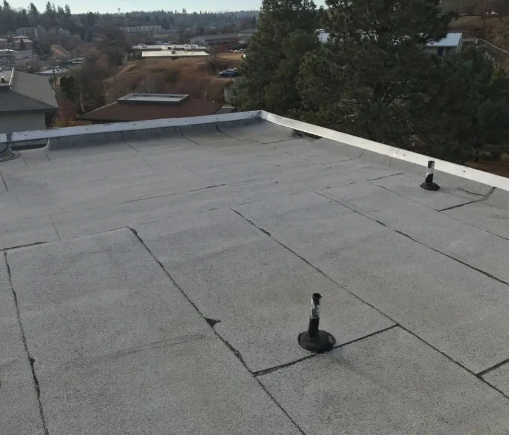 Slide of Gizmo‘s Roofing