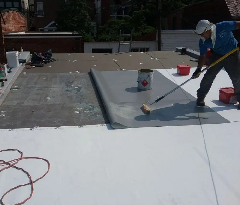 Slide of Gizmo‘s Roofing