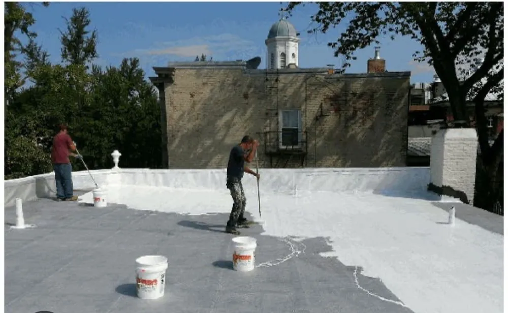 Slide of Gizmo‘s Roofing