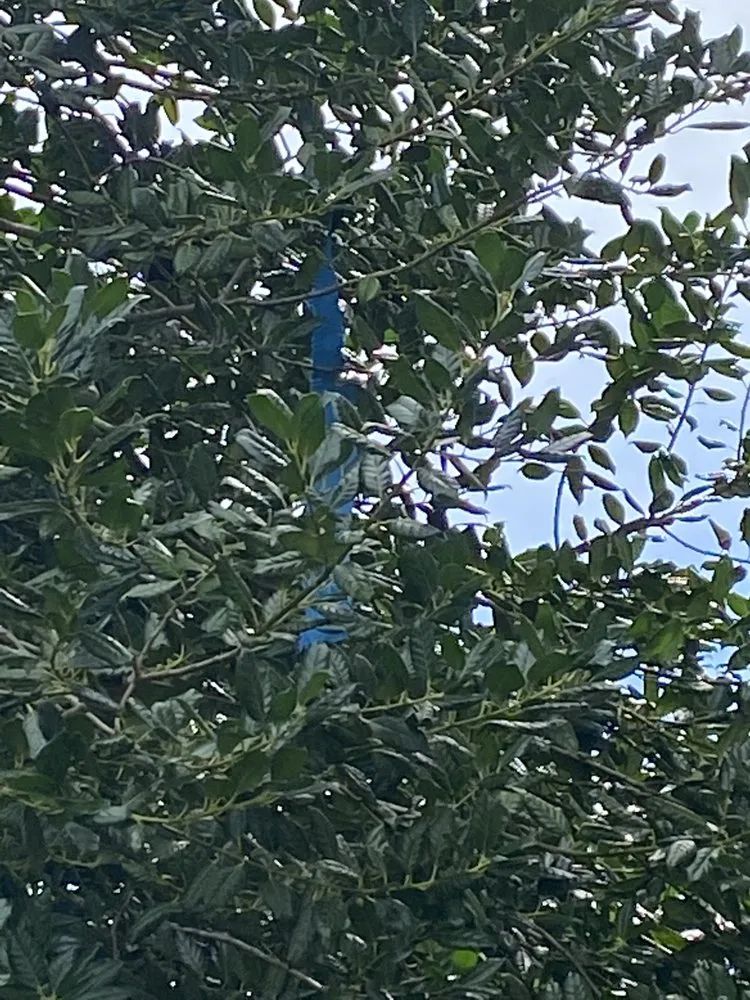 Slide of G&J Roofing Services