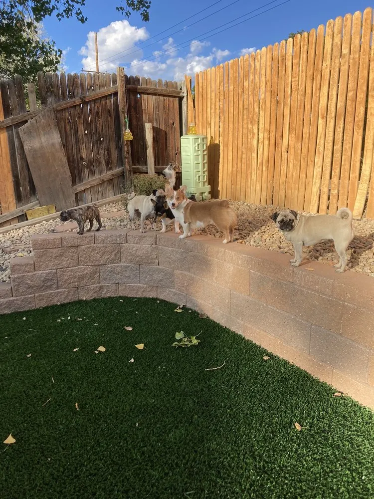 Professional flat roof repair in Westminter, CO by GKC Landscaping Contractor
