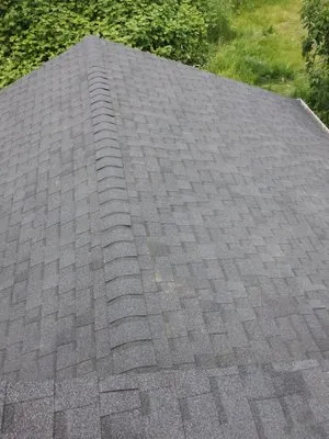 Gladiator Roofing And Construction
