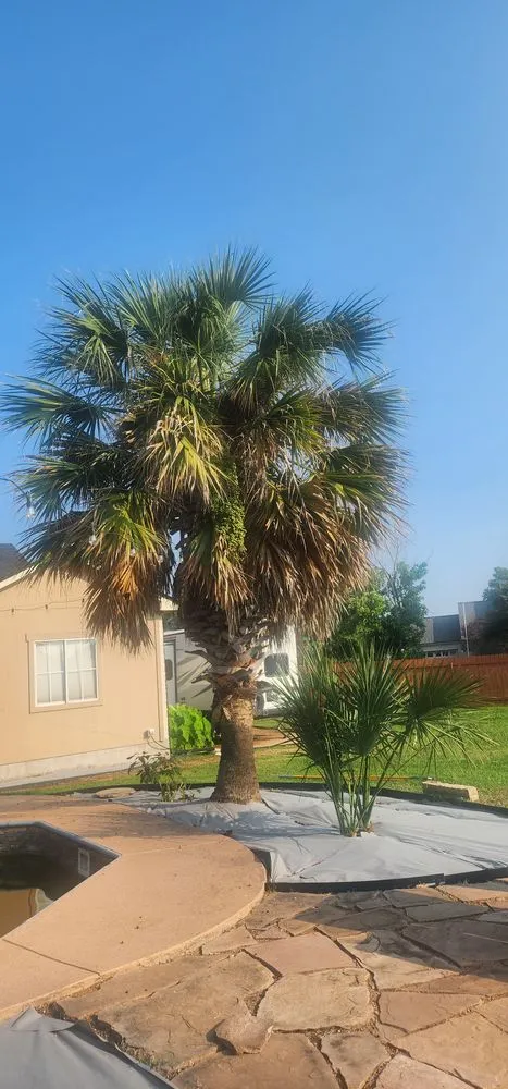 Slide of Gladiator Tree Experts & Landscaping