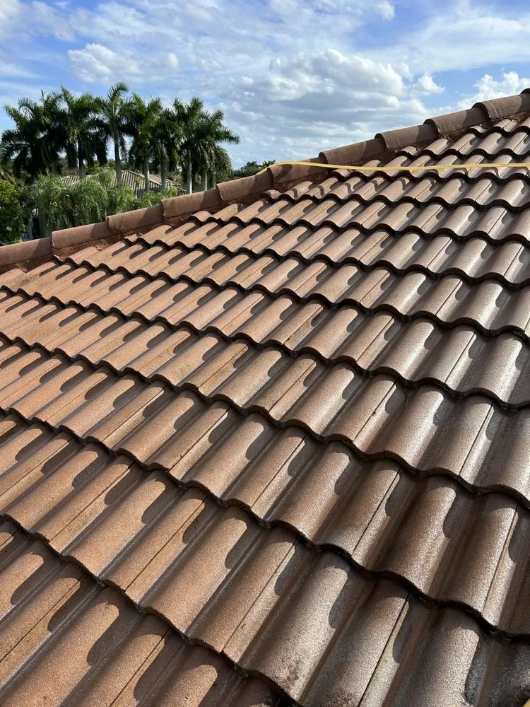 Slide of Gladiators Pressure Washing & Roof Cleaning