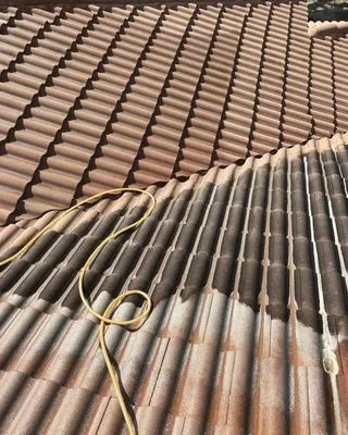 Gladiators Pressure Washing & Roof Cleaning