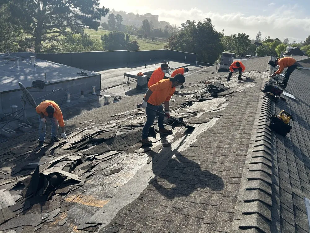 Slide of Glam Roofing