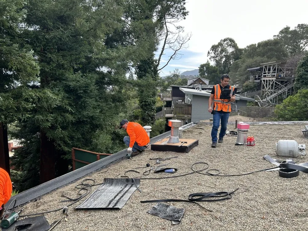 Slide of Glam Roofing