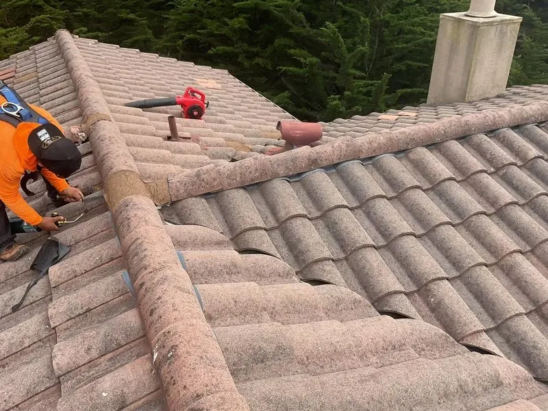 Slide of Glam Roofing