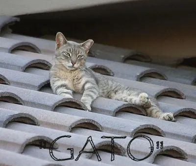 Slide of Glendale Roofing & Construction