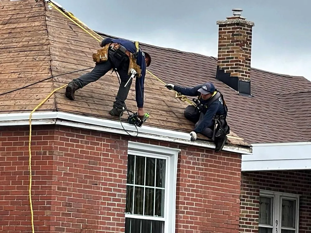 Slide of Global Exterior Experts