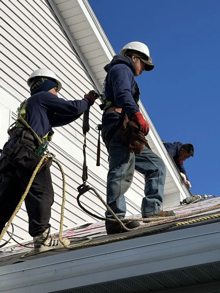 Slide of Global Exterior Experts