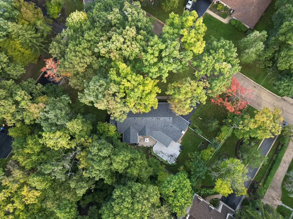 Slide of Global Exterior Experts