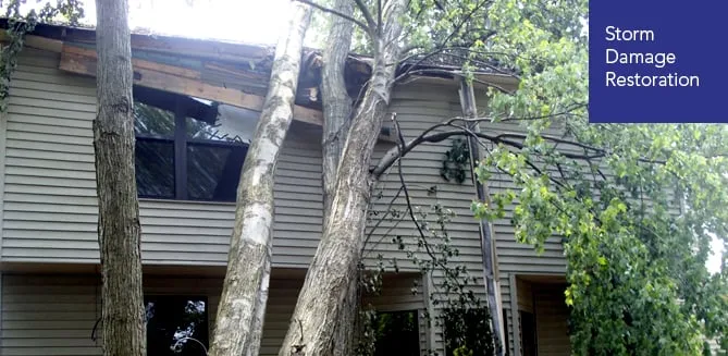 Slide of Global Restoration