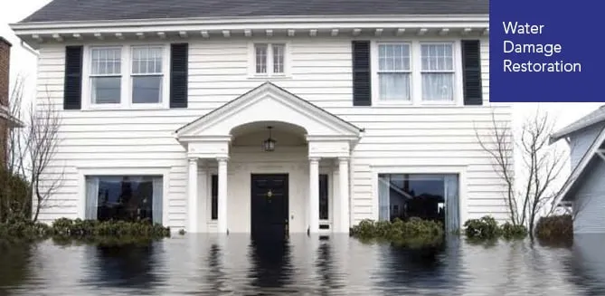 Slide of Global Restoration