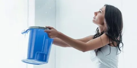 Slide of Global Roofing