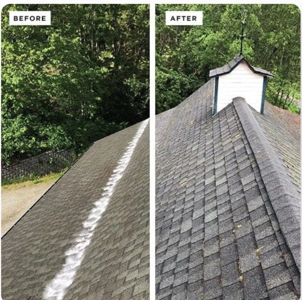 Slide of Global Roofing Pro