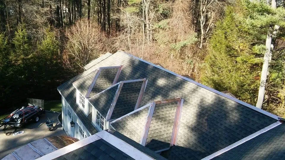 Slide of Global Roofing