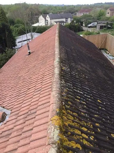 Slide of Global Roofing