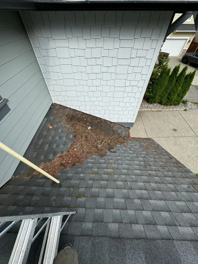 Slide of Glory Exteriors