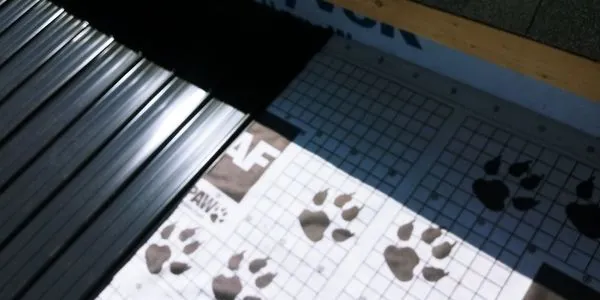 G&M Mourey Construction Roof Repair