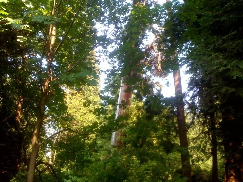 Slide of Gm Precision Roofing