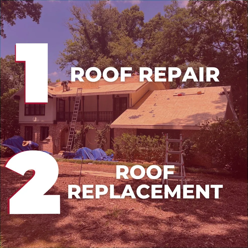 Slide of Go Dawgs Roof Roof