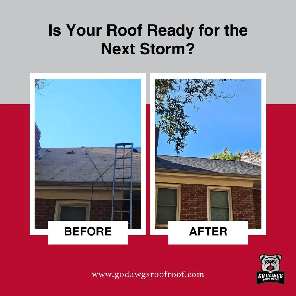 Slide of Go Dawgs Roof Roof