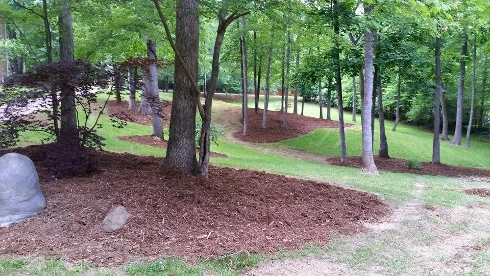 Slide of Go Green Roofing