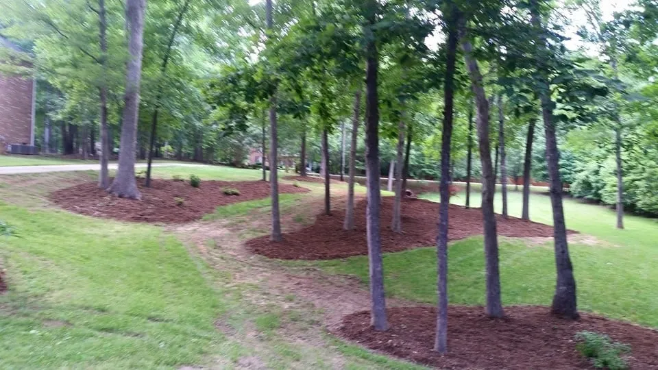 Slide of Go Green Roofing
