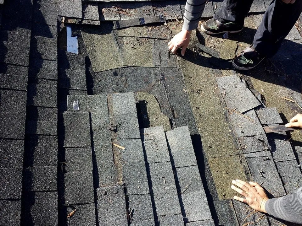 Slide of Go Green Roofing