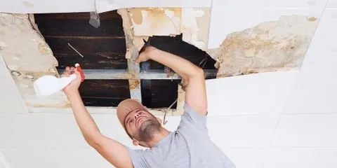 Slide of Go to Guys Exteriors