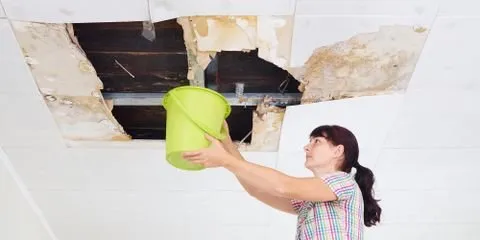 Slide of Go to Guys Exteriors