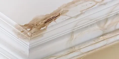 Slide of Go to Guys Exteriors