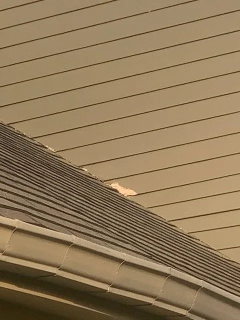 Slide of Godby Painting