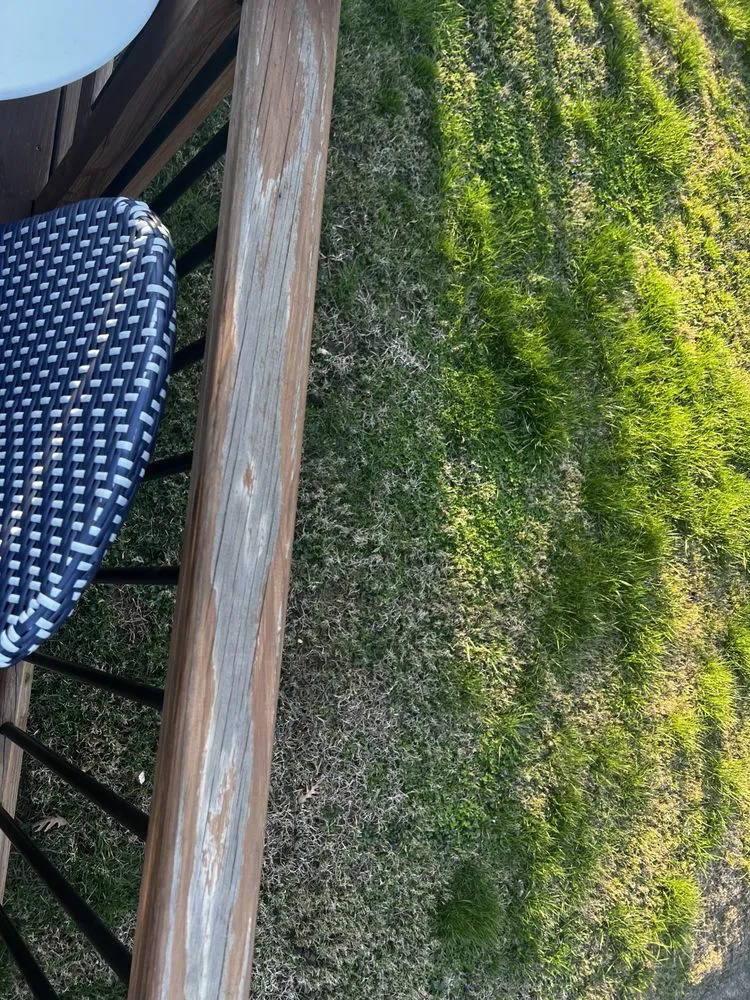 Slide of Godby Painting