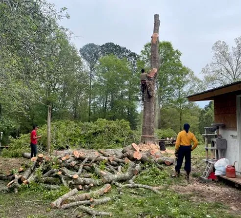 Slide of Godfrey Tree Removal & Roofing