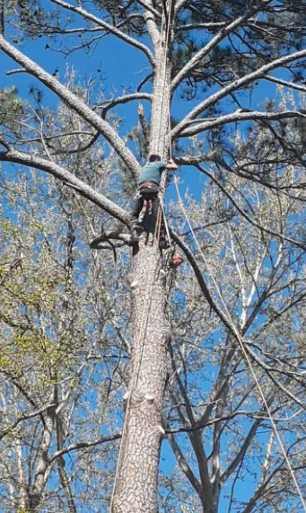 Slide of Godfrey Tree Removal & Roofing