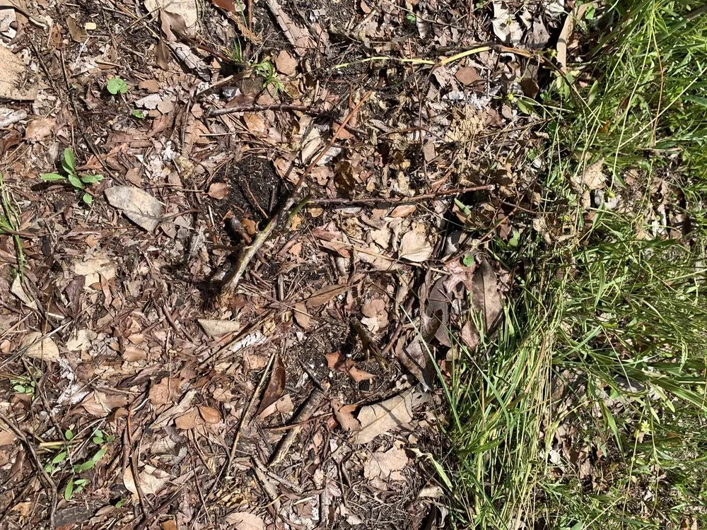 Slide of Godwin Green Roofing