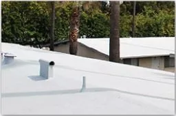 Slide of GoGreen Roofing