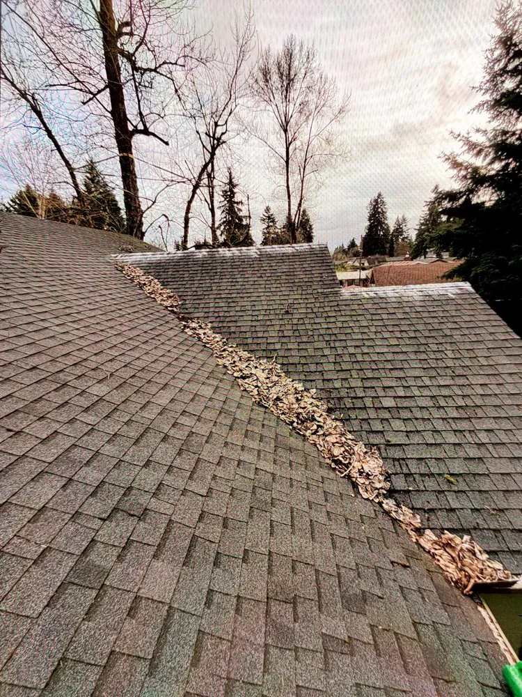 Slide of Gold Shield Exteriors