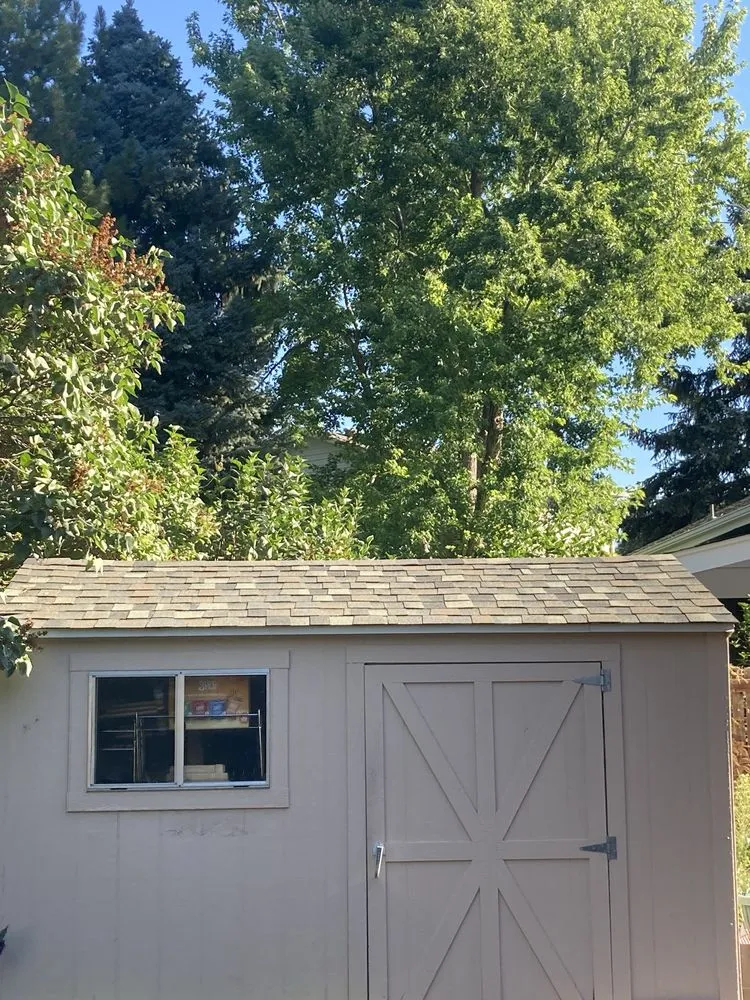 Professional shingle roofing service near you in BlvdWheat Ridge, CO by Gold Star Premium Roofing