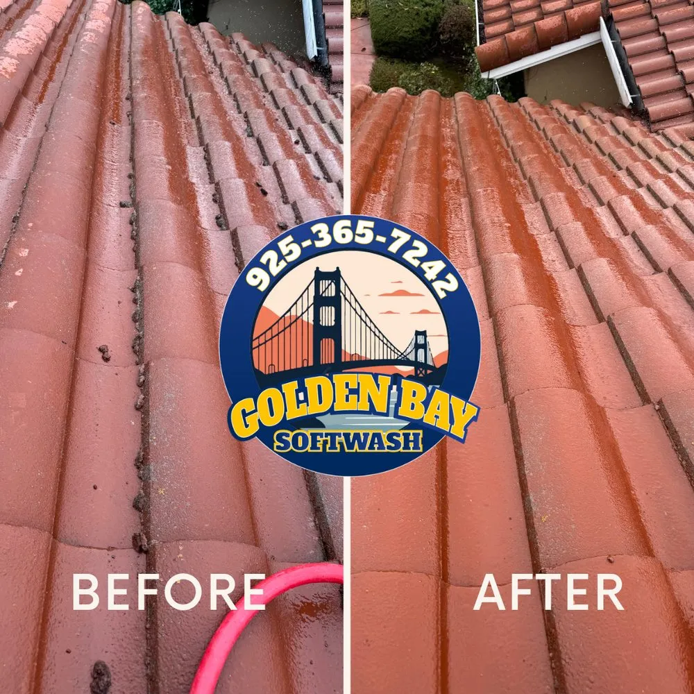 Slide of Golden Bay Softwash