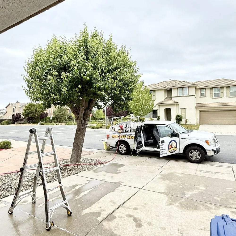 Slide of Golden Bay Softwash